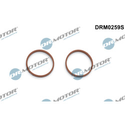 Zestaw uszczelek kolektora dolotowego Dr.Motor Automotive DRM0259S