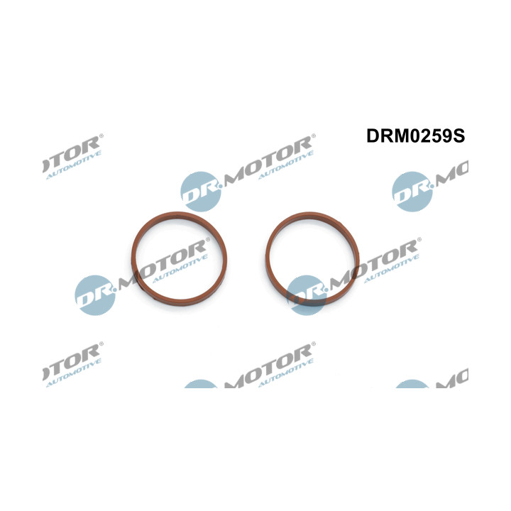Zestaw uszczelek kolektora dolotowego Dr.Motor Automotive DRM0259S