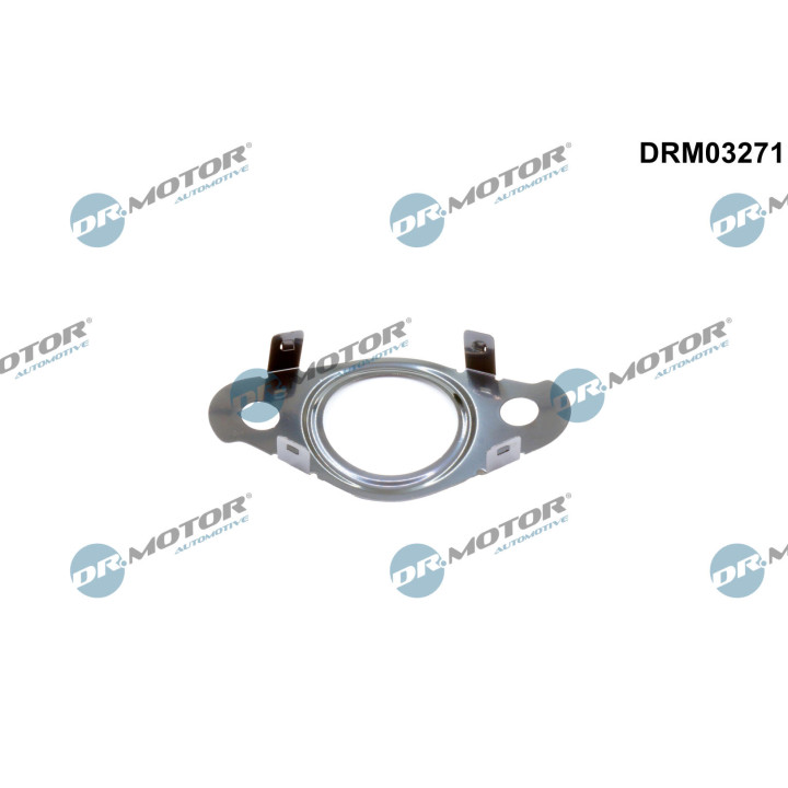 Pierścień uszczelniający, przewód zaworu AGR Dr.Motor Automotive DRM03271