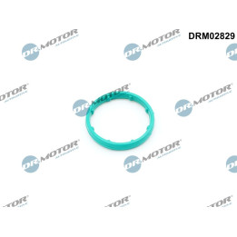Uszczelka chłodnicy oleju Dr.Motor Automotive DRM02829