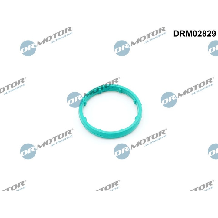 Uszczelka chłodnicy oleju Dr.Motor Automotive DRM02829