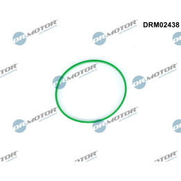 Uszczelka, króciec przepustnicy Dr.Motor Automotive DRM02438