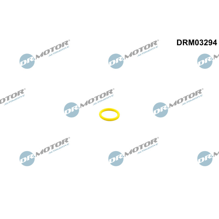 Pierścień zamykający, pompa paliwowa Dr.Motor Automotive DRM03294