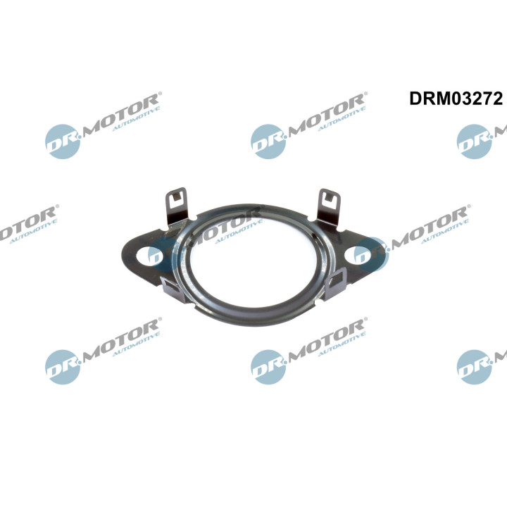 Pierścień uszczelniający, przewód zaworu AGR Dr.Motor Automotive DRM03272