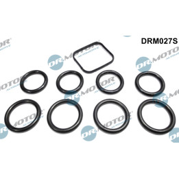 Zestaw uszczelek kolektora dolotowego Dr.Motor Automotive DRM027S