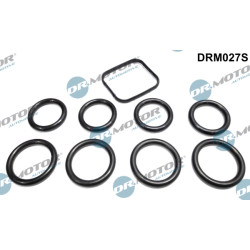 Zestaw uszczelek kolektora dolotowego Dr.Motor Automotive DRM027S