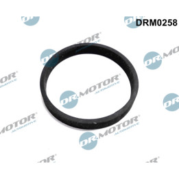 Uszczelnienie, wejście do turbiny (doładowanie) Dr.Motor Automotive DRM0258