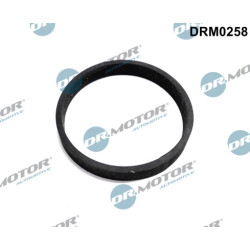 Uszczelnienie, wejście do turbiny (doładowanie) Dr.Motor Automotive DRM0258