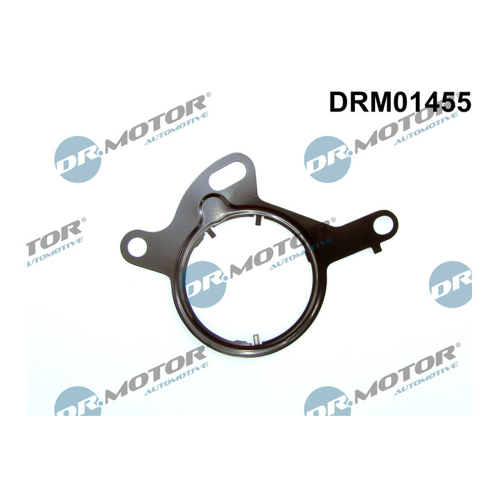 Uszczelka, pompa podciśnieniowa Dr.Motor Automotive DRM01455