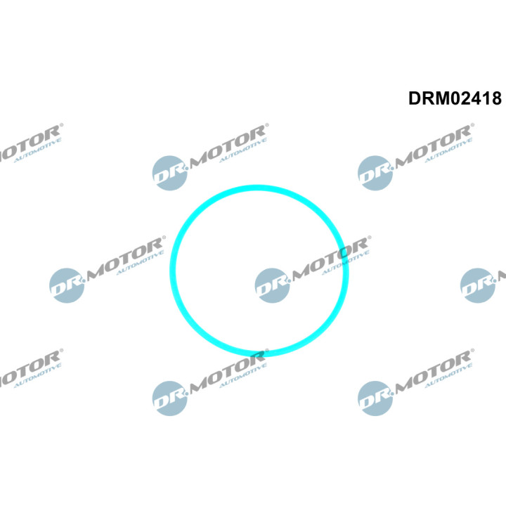 Uszczelka pompy paliwa Dr.Motor Automotive DRM02418