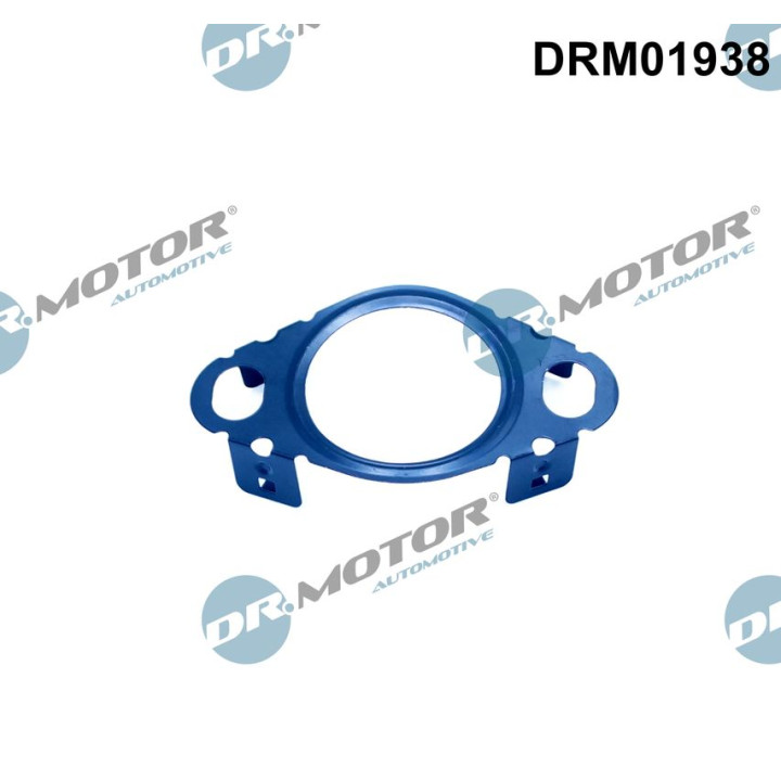 Pierścień uszczelniający, przewód zaworu AGR Dr.Motor Automotive DRM01938
