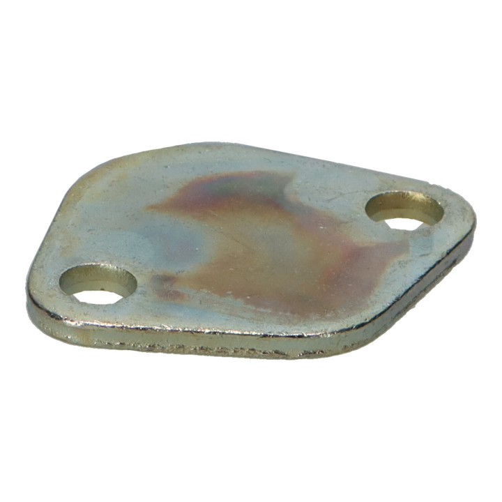 Cover plate Volvo (1326595)