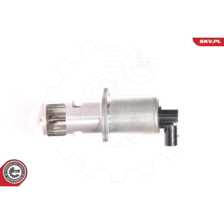 Zawór spalin EGR ESEN SKV 14SKV010