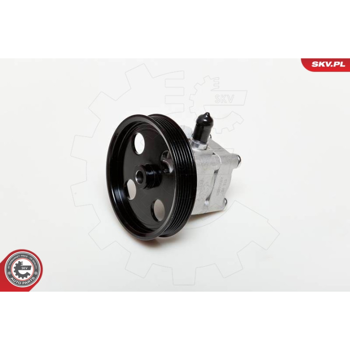 Pompa wspomagania ESEN SKV 10SKV177