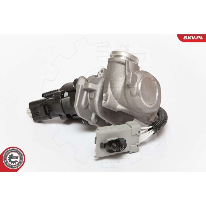 Zawór spalin EGR ESEN SKV 14SKV067
