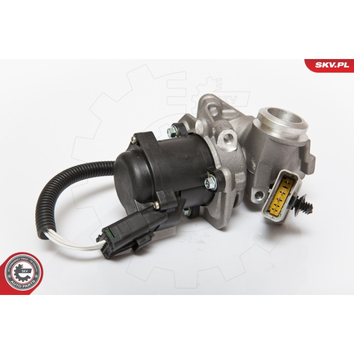 Zawór spalin EGR ESEN SKV 14SKV067