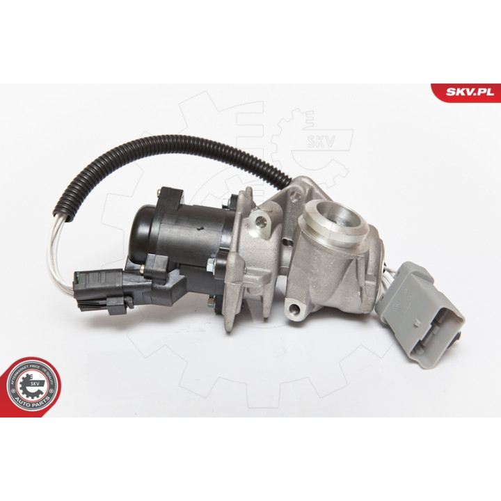 Zawór spalin EGR ESEN SKV 14SKV071