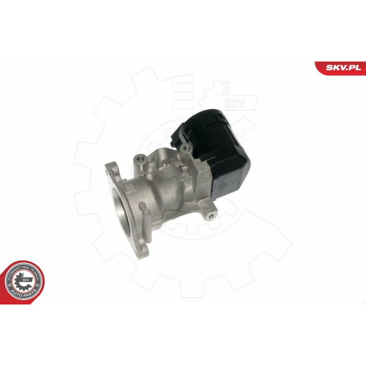 Zawór spalin EGR ESEN SKV 14SKV057