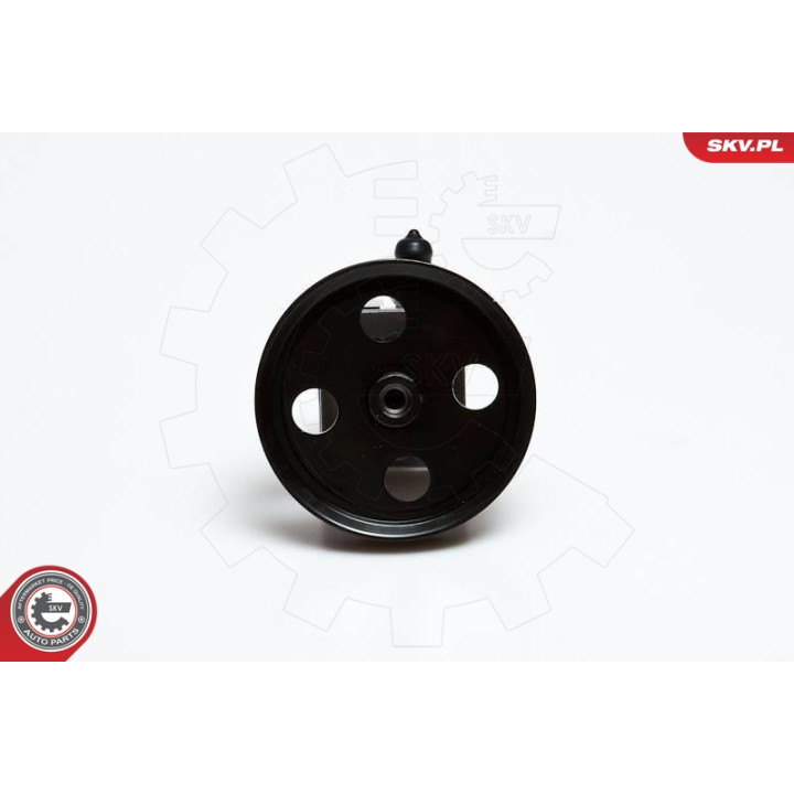 Pompa wspomagania ESEN SKV 10SKV028
