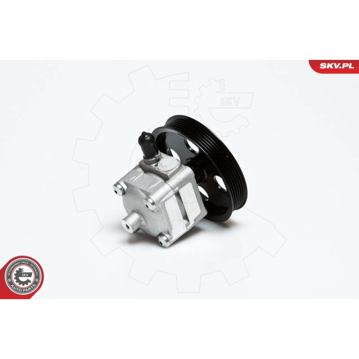 Pompa wspomagania ESEN SKV 10SKV028