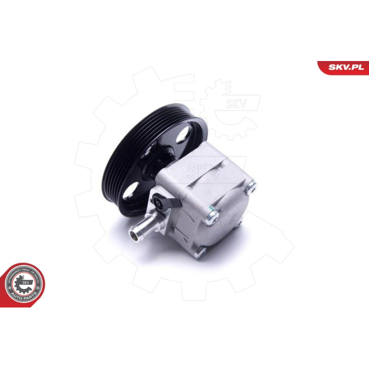 Pompa wspomagania ESEN SKV 10SKV293