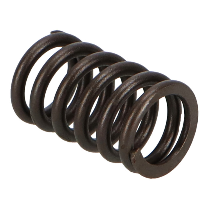 Valve spring Volvo (1332055)