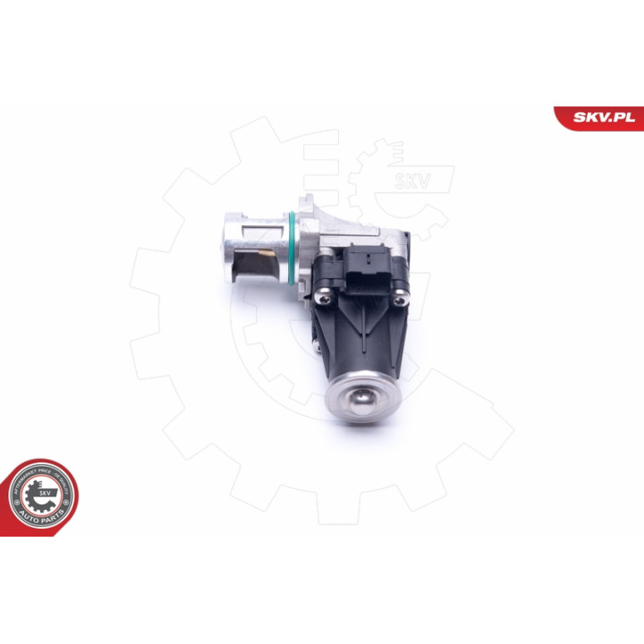 Zawór spalin EGR ESEN SKV 14SKV185