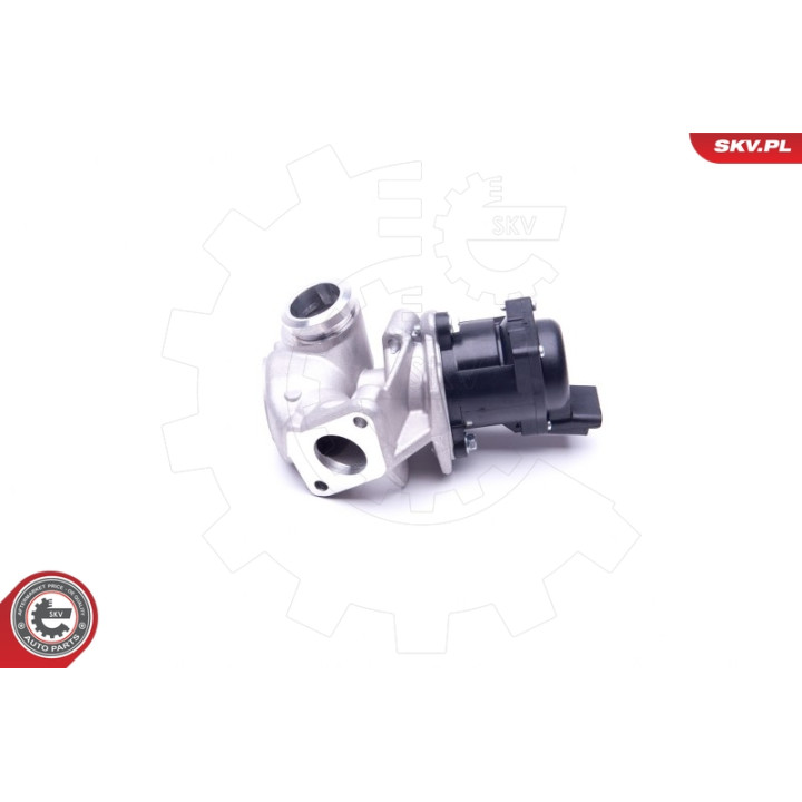 Zawór spalin EGR ESEN SKV 14SKV202