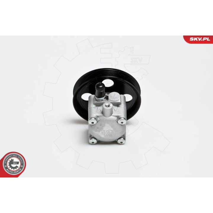 Pompa wspomagania ESEN SKV 10SKV176