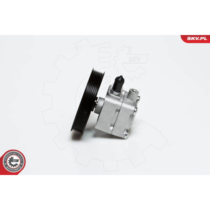 Pompa wspomagania ESEN SKV 10SKV176