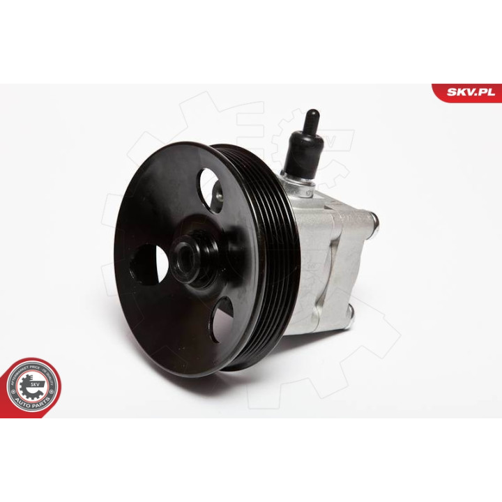 Pompa wspomagania ESEN SKV 10SKV033