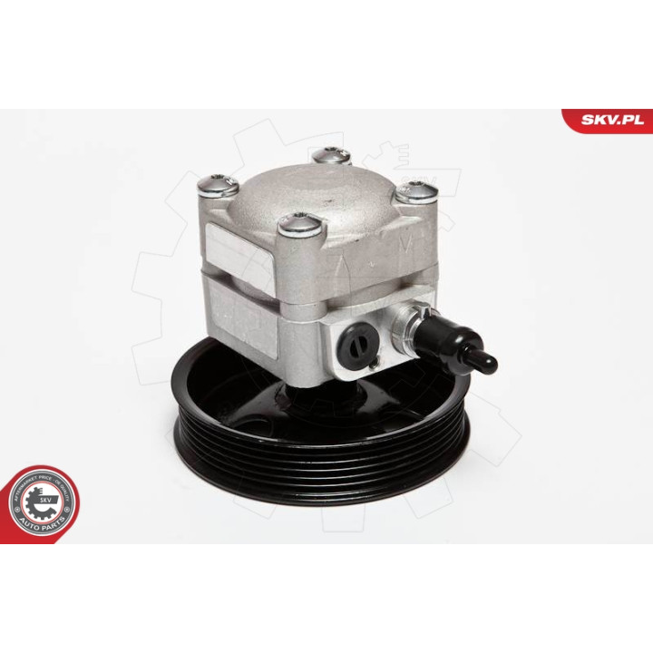 Pompa wspomagania ESEN SKV 10SKV010
