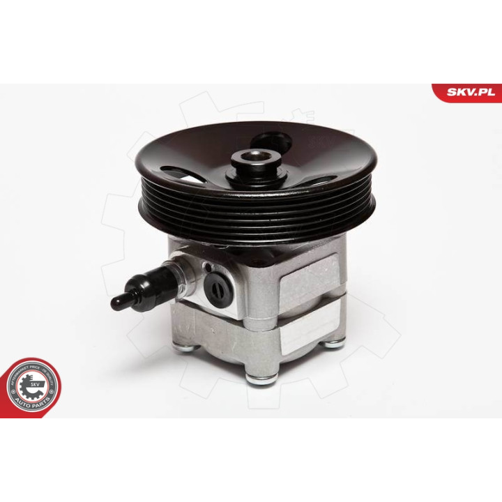 Pompa wspomagania ESEN SKV 10SKV010