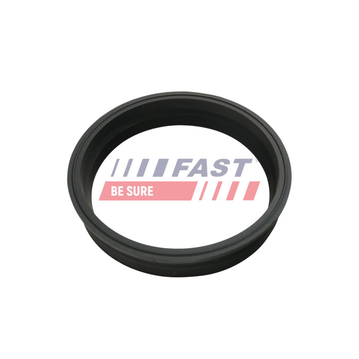 Uszczelka pompy paliwa FAST FT48501