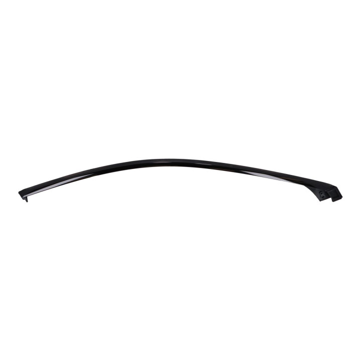 Trim moulding Volvo (31301887)