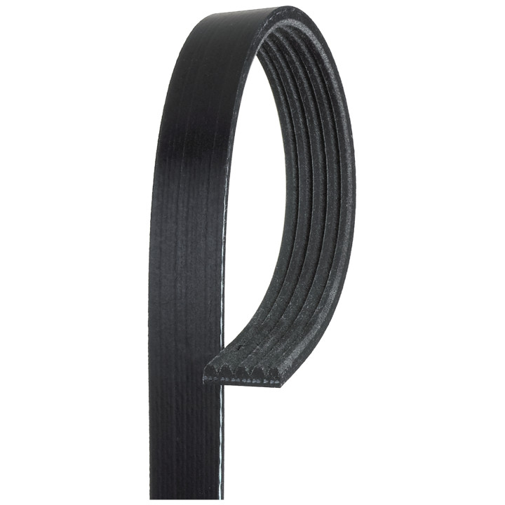 Pasek klinowy wielorowkowy GATES 5PK885