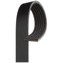 Pasek klinowy wielorowkowy GATES 6PK1795