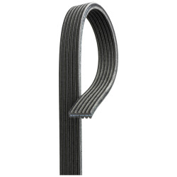 Pasek klinowy wielorowkowy GATES 6DPK1825