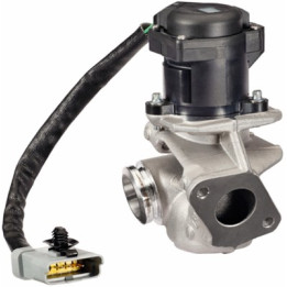 Zawór spalin EGR HELLA 6NU 010 171-131