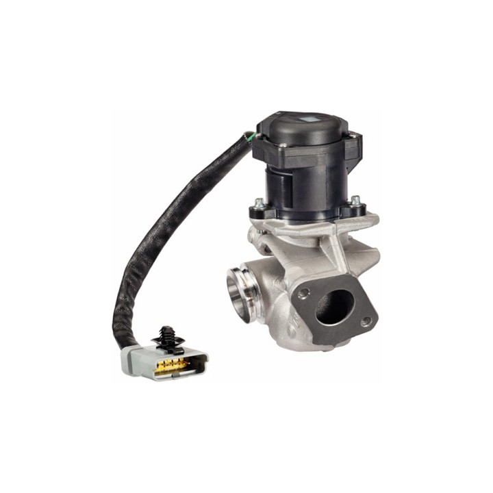 Zawór spalin EGR HELLA 6NU 010 171-131