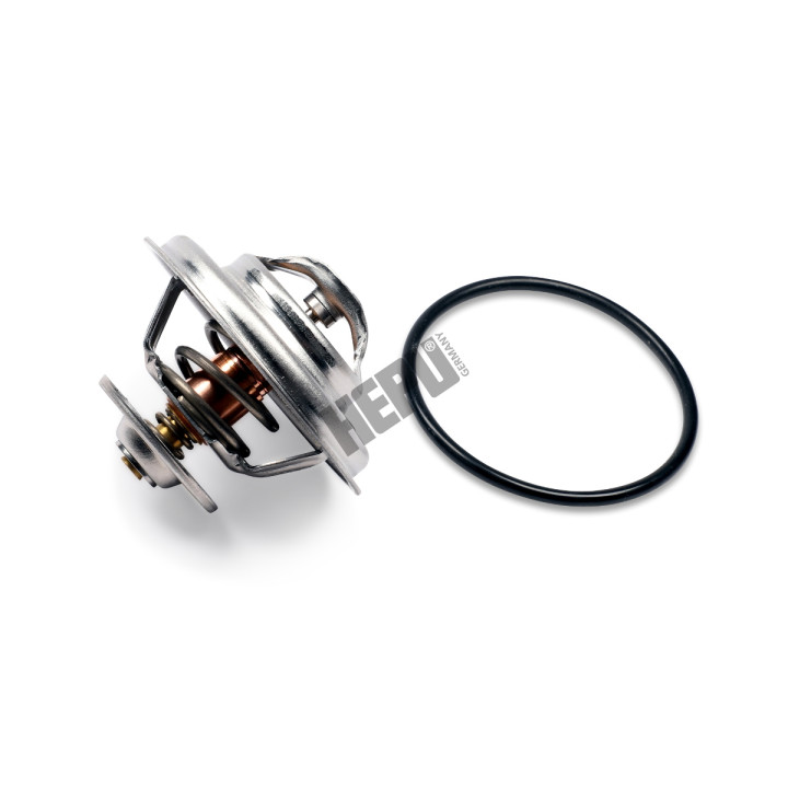Termostat HEPU TM1298