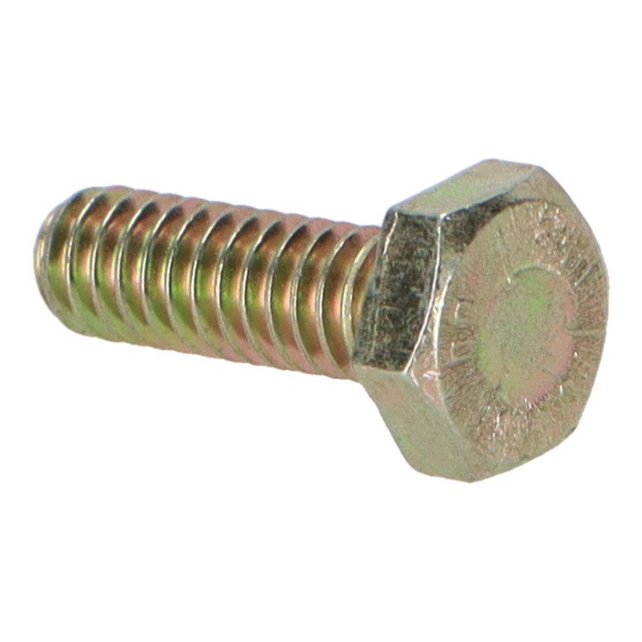 Hexagon screw Volvo (955513)