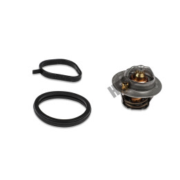 Termostat HEPU TM1267