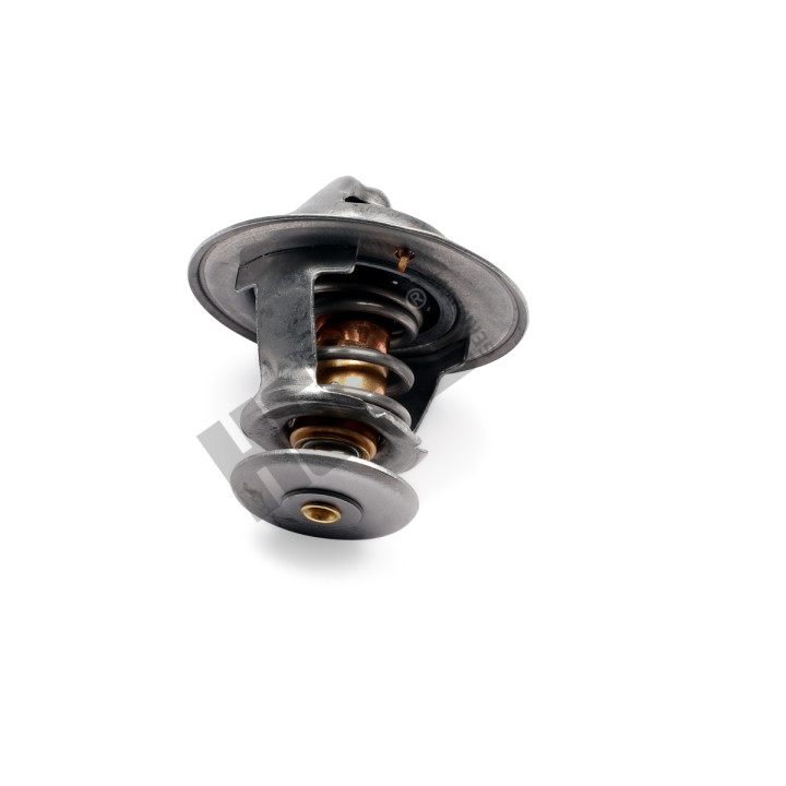 Termostat HEPU TM1317