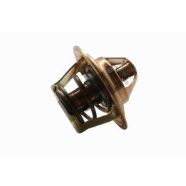 Termostat HEPU TM1378