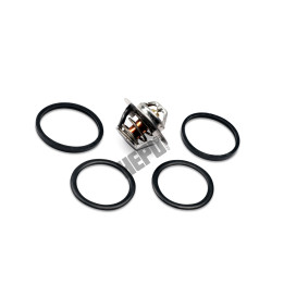 Termostat HEPU TM1291
