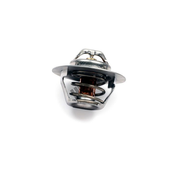 Termostat HEPU TM1291
