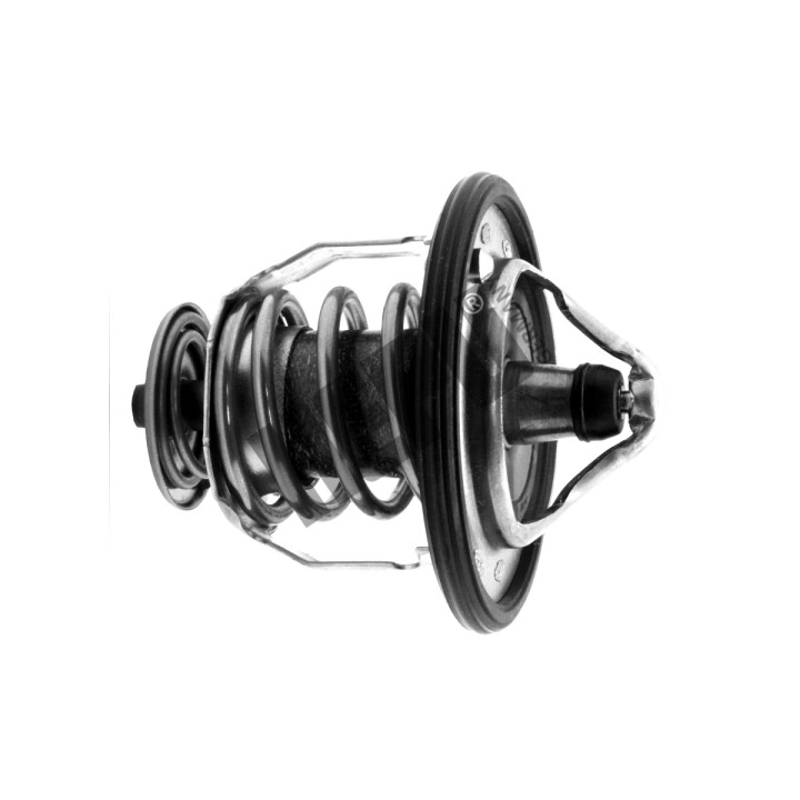 Termostat HEPU TM1289