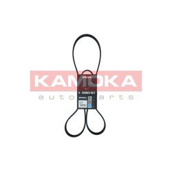 Pasek klinowy wielorowkowy KAMOKA 7016124