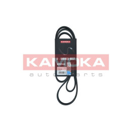 Pasek klinowy wielorowkowy KAMOKA 7016135